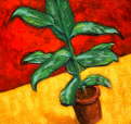 rubber plant on yellow cloth